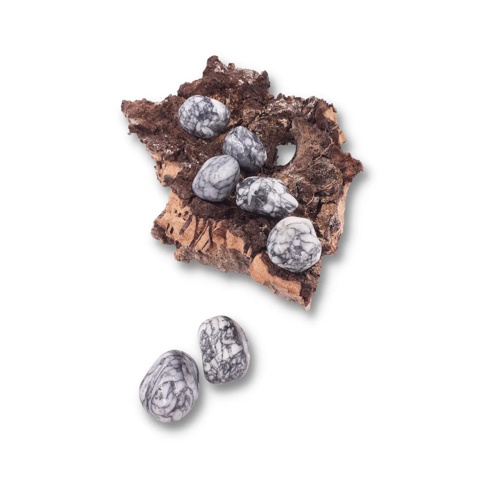 Miniatuur 2