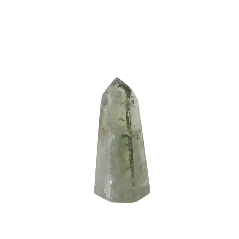 Miniatuur 2