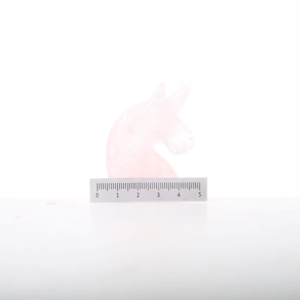 Miniatuur 4