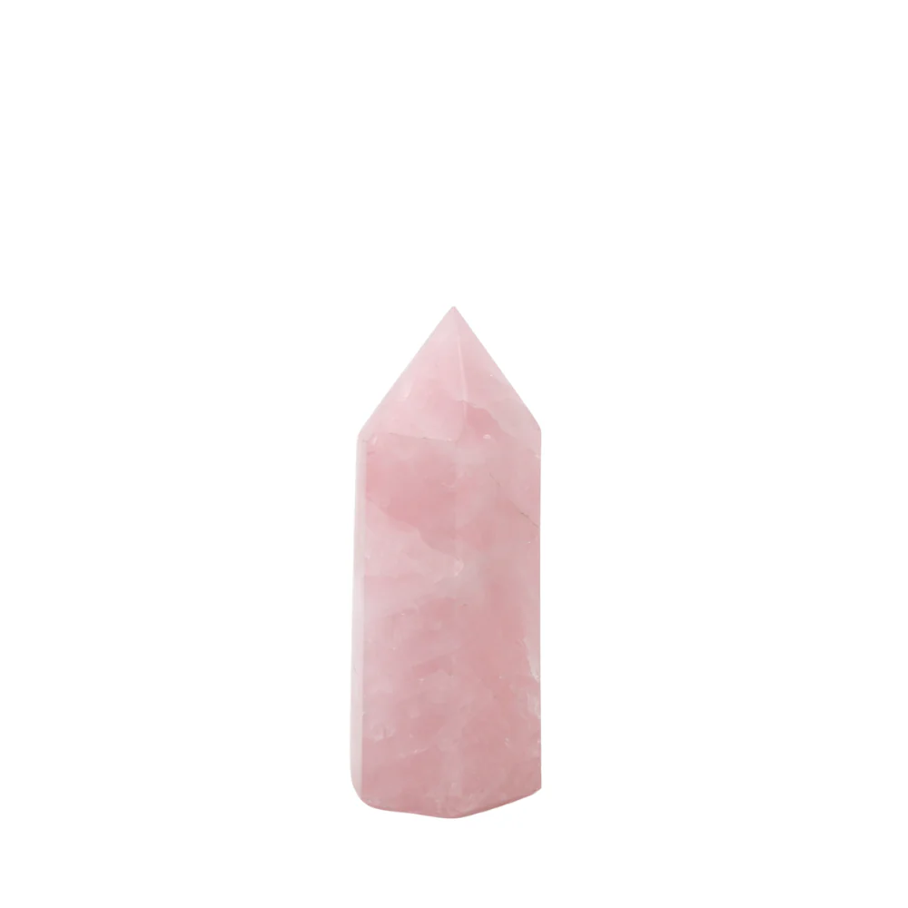 Miniatuur 4