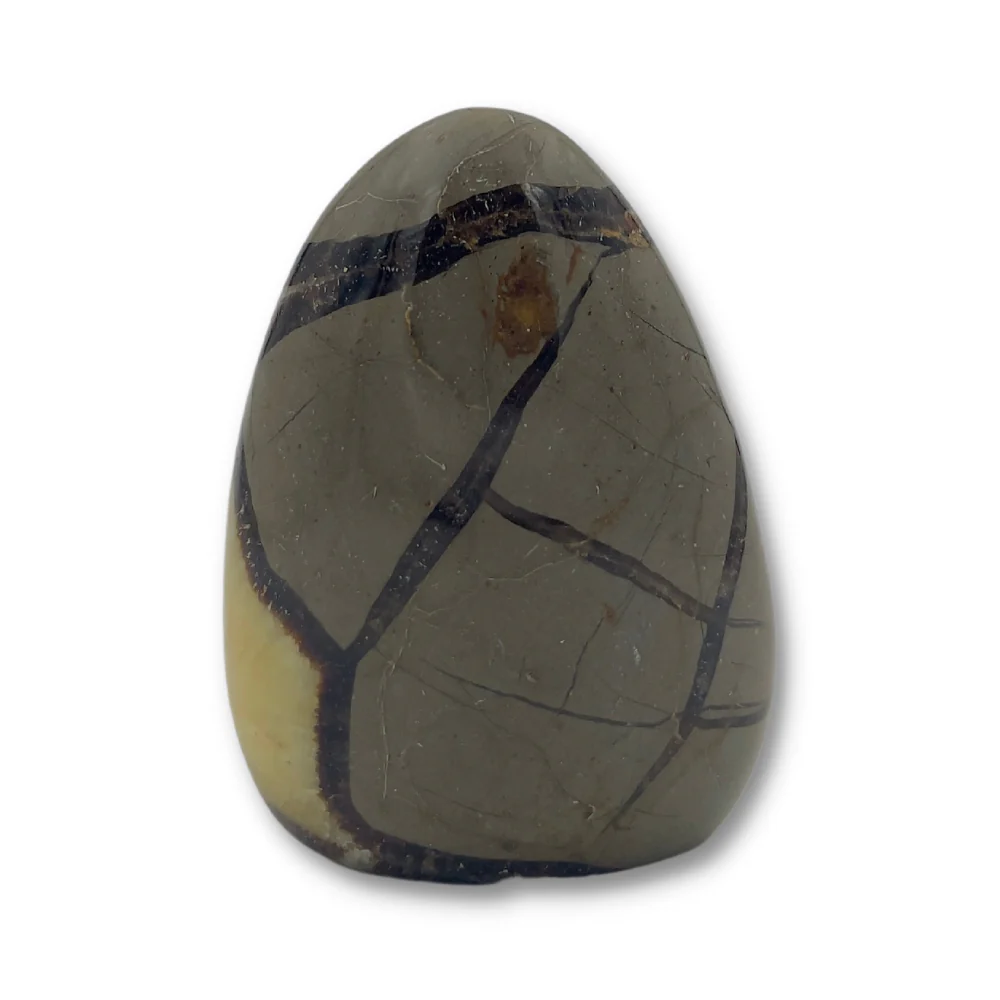 Miniatuur 3