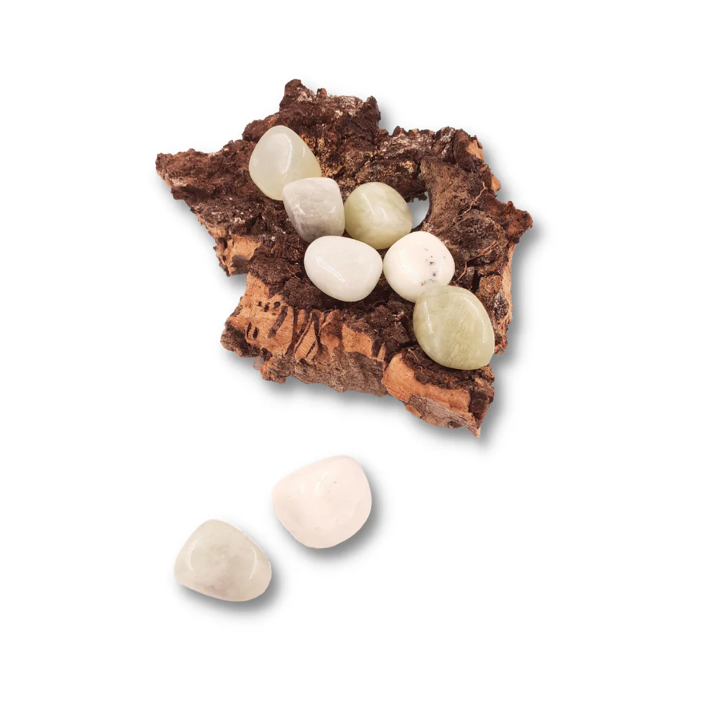 Miniatuur 2