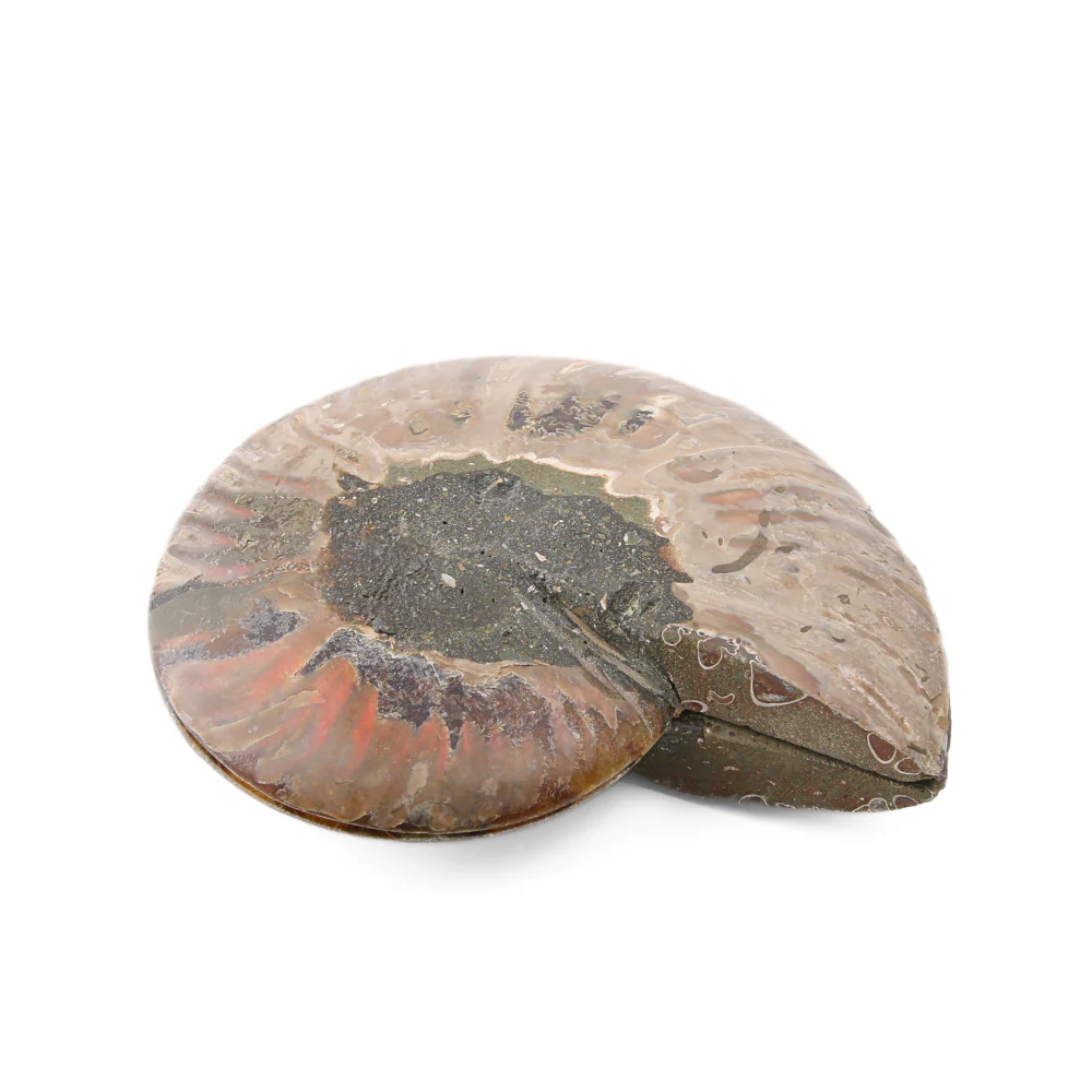 Miniatuur 5