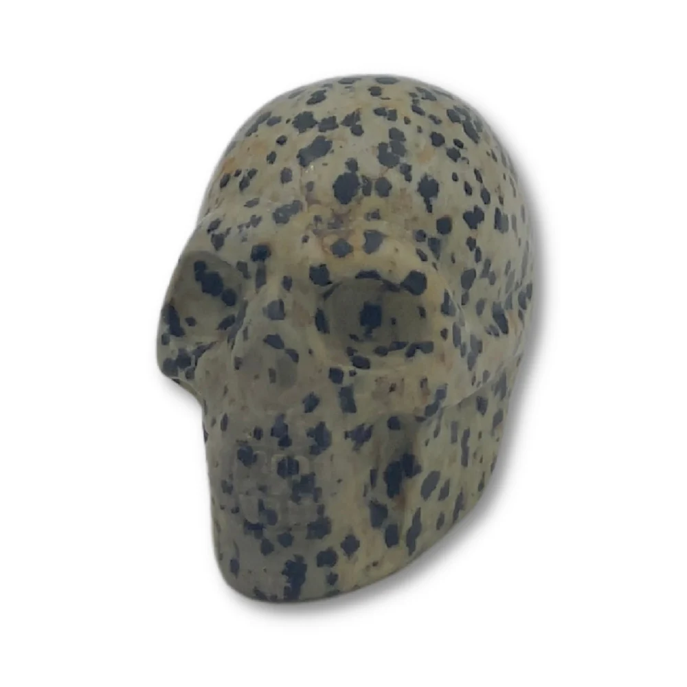 Miniatuur 1