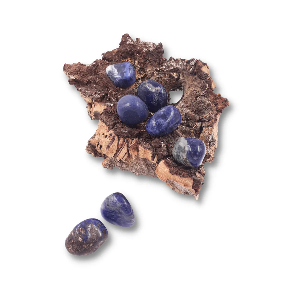 Miniatuur 2