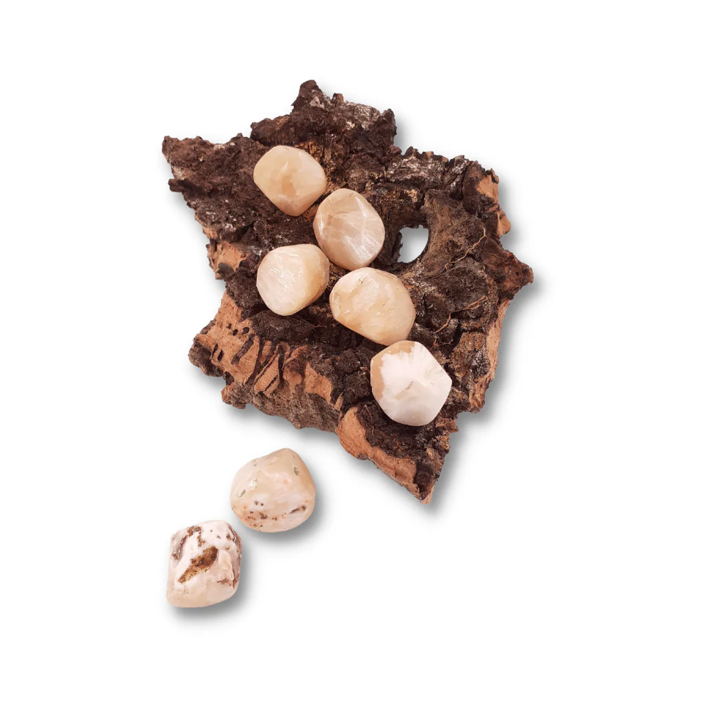 Miniatuur 2