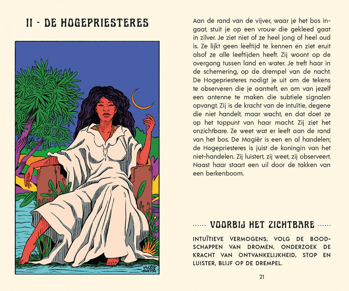 Miniatuur 2