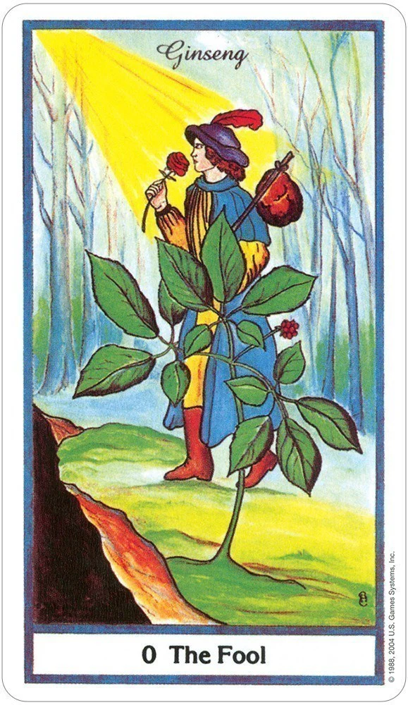 Miniatuur 3