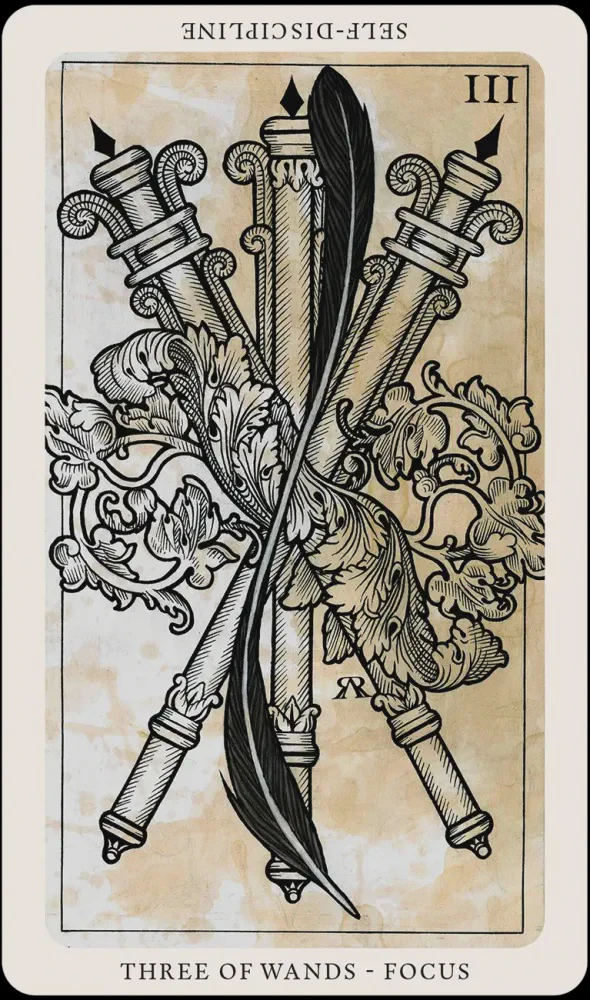 Miniatuur 5