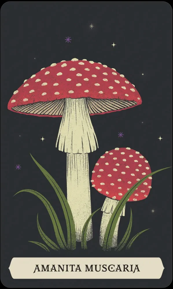 Miniatuur 3