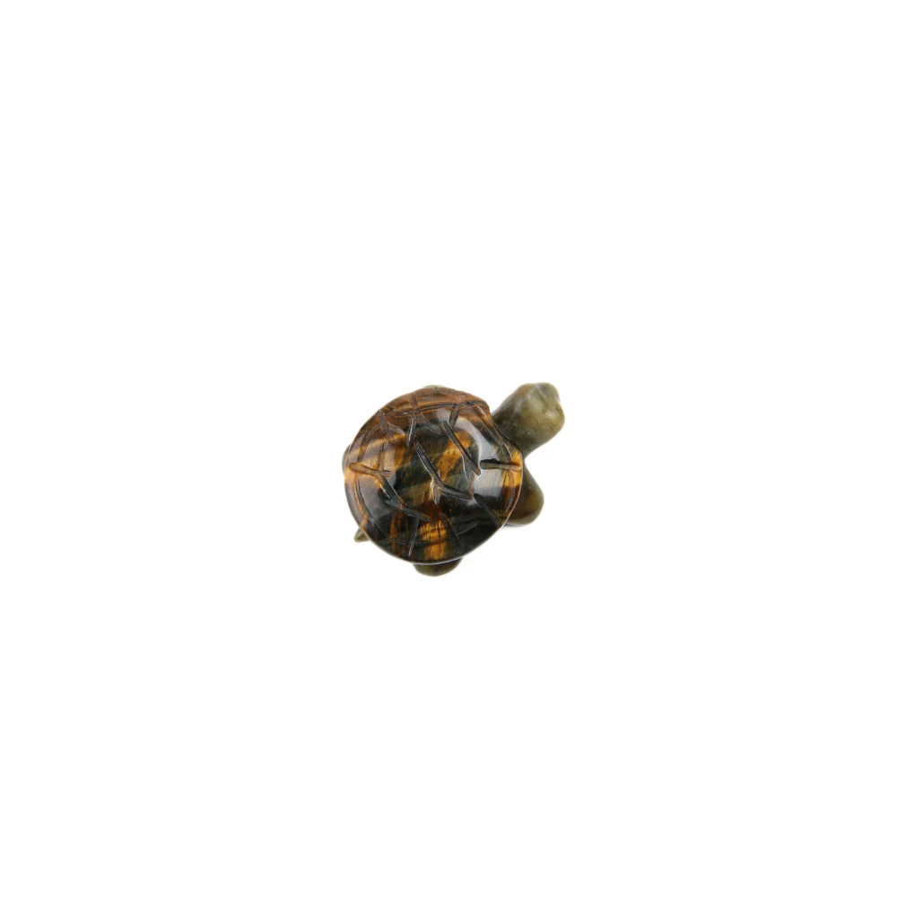 Miniatuur 3