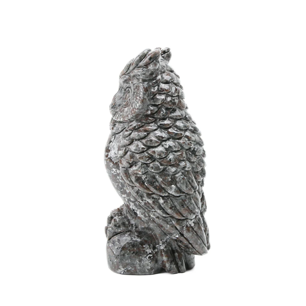 Miniatuur 3