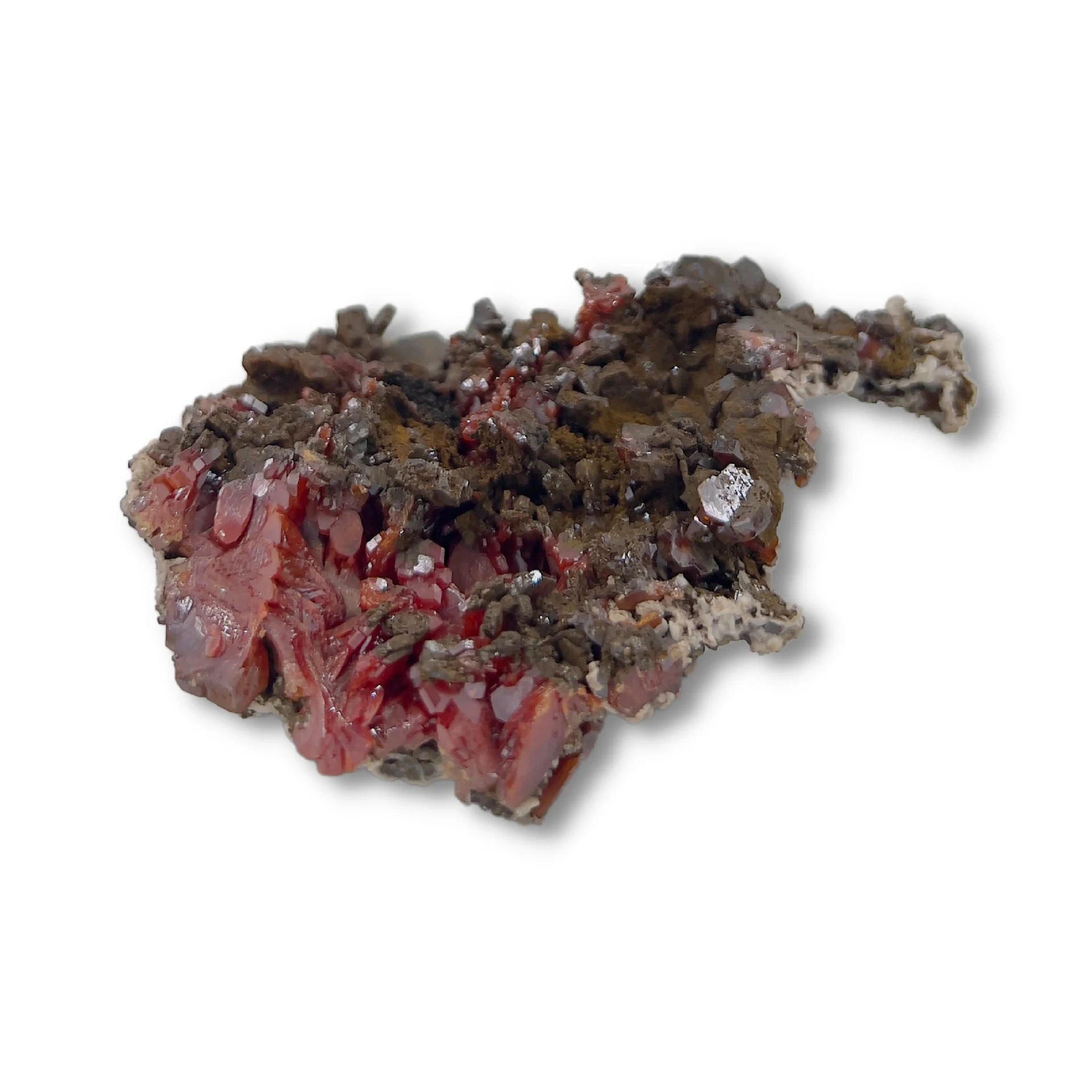 Miniatuur 3