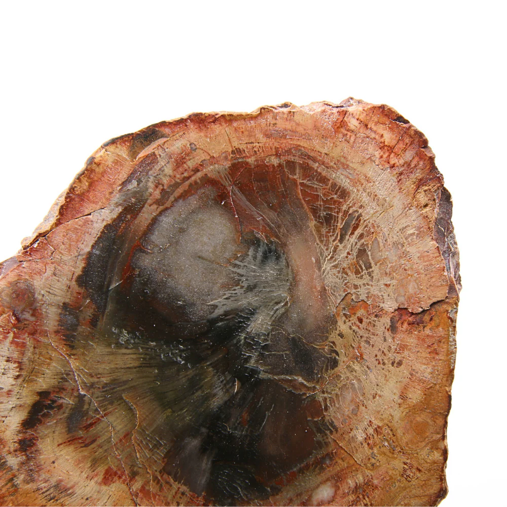 Miniatuur 2