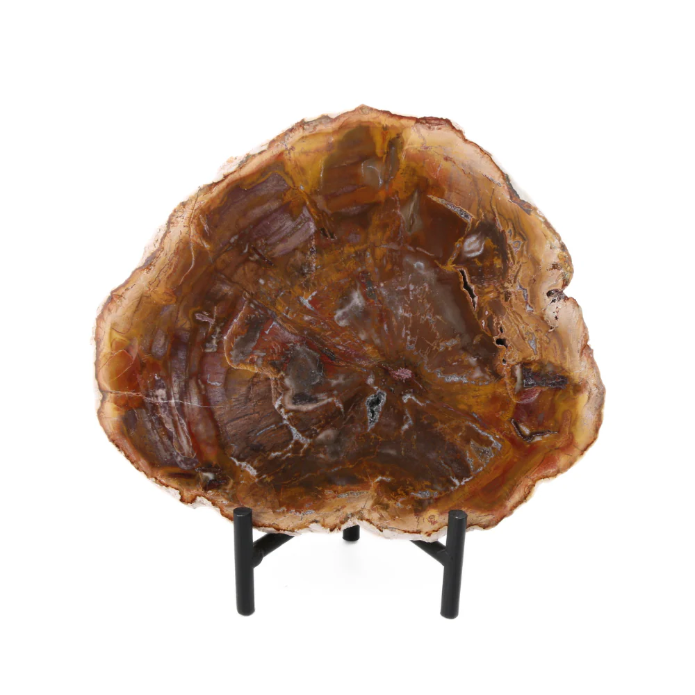 Miniatuur 4