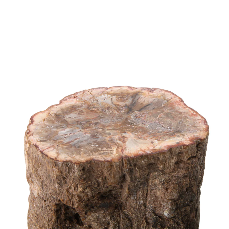 Miniatuur 2