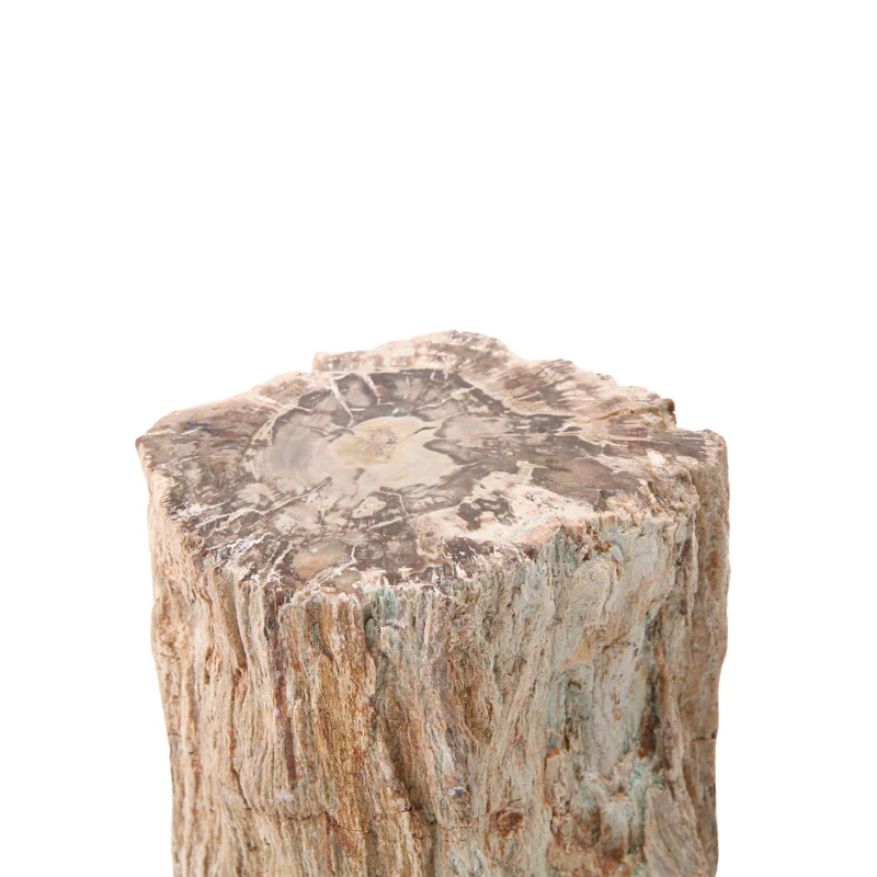 Miniatuur 2