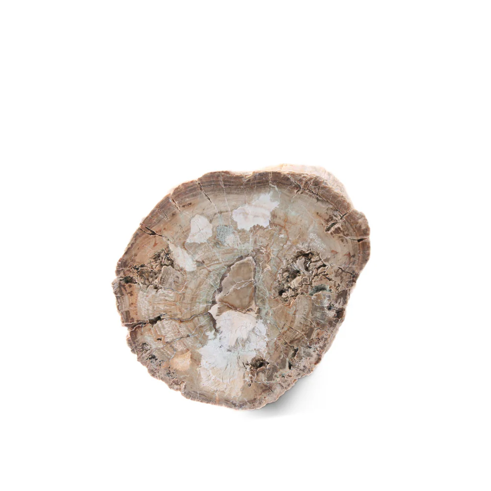 Miniatuur 4