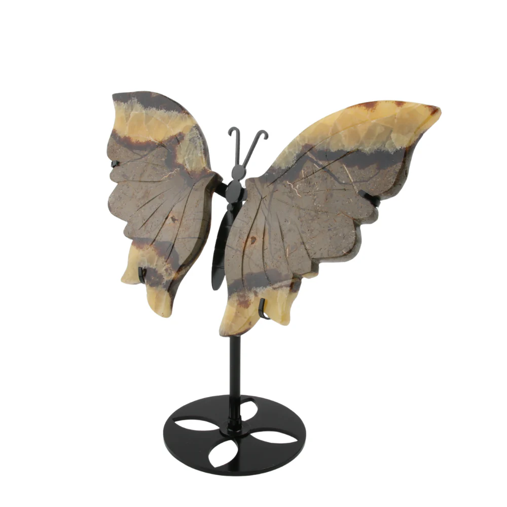 Miniatuur 3