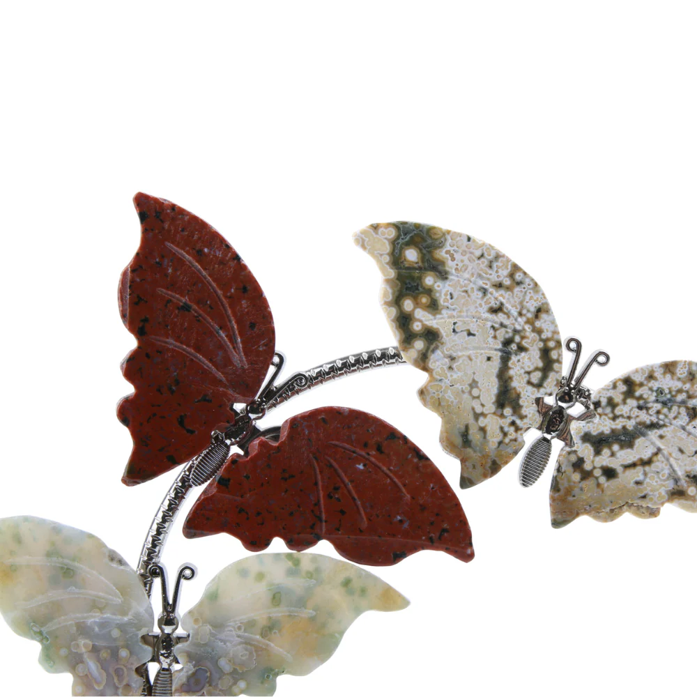 Miniatuur 4