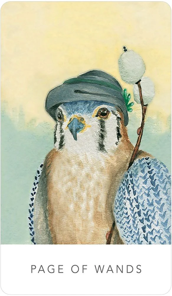 Miniatuur 4