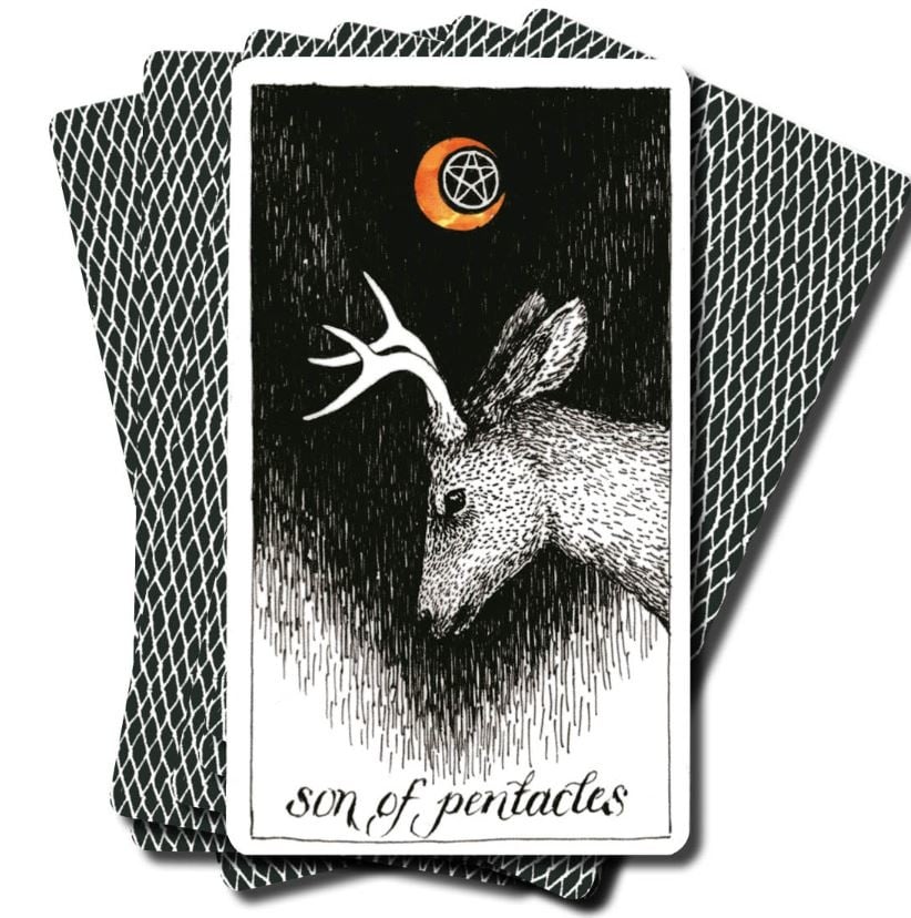 Miniatuur 3