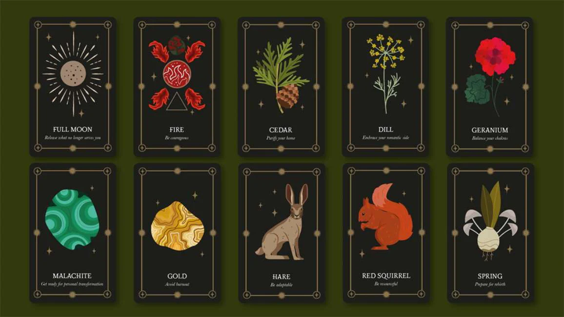 Miniatuur 5