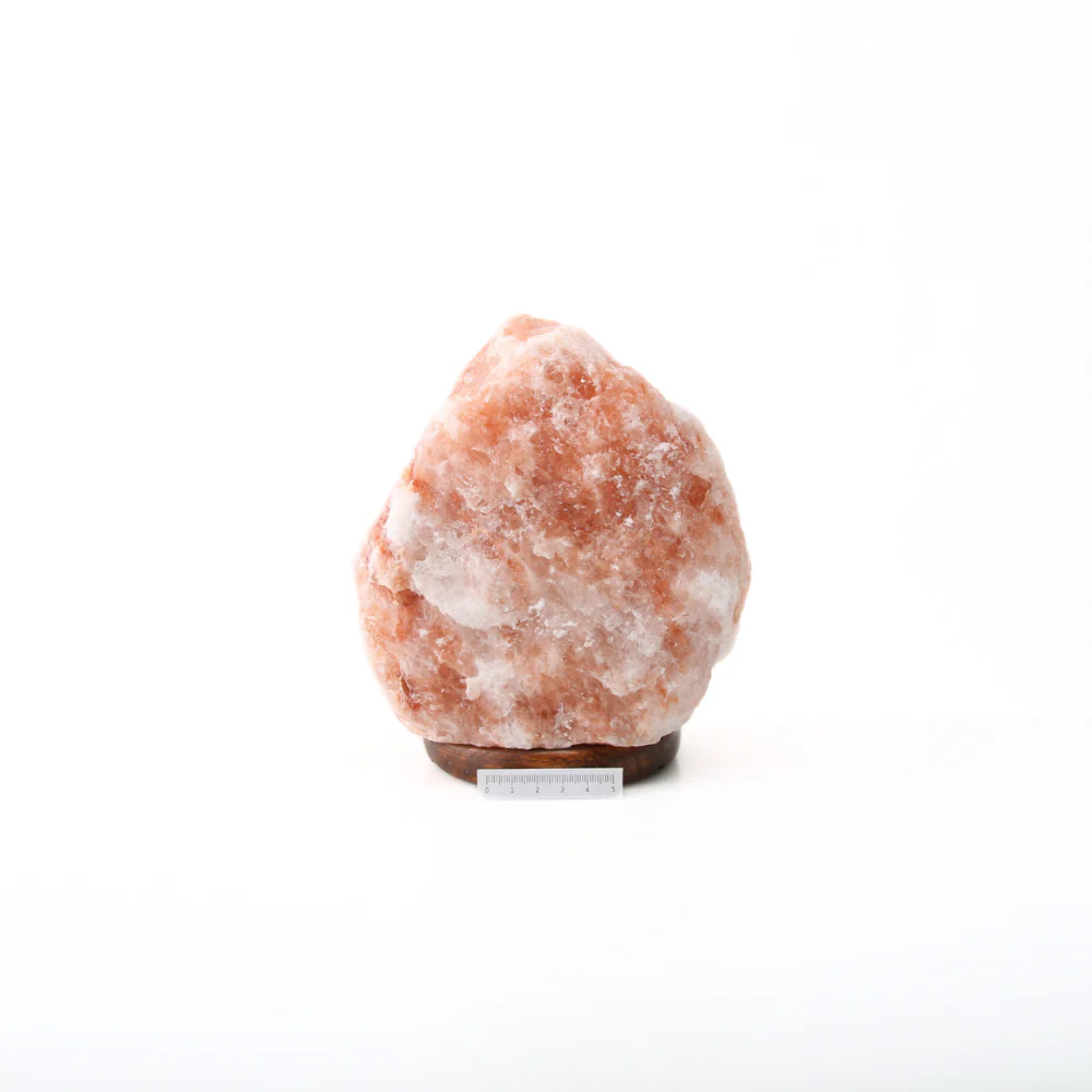 Miniatuur 3